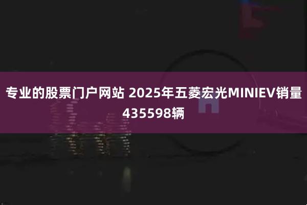 专业的股票门户网站 2025年五菱宏光MINIEV销量435598辆